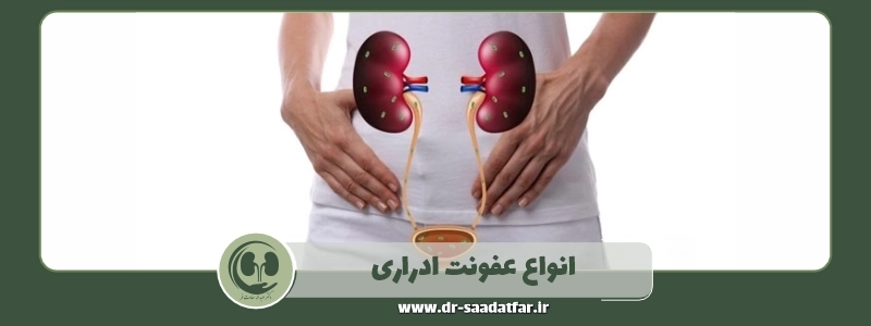 انواع عفونت ادراری