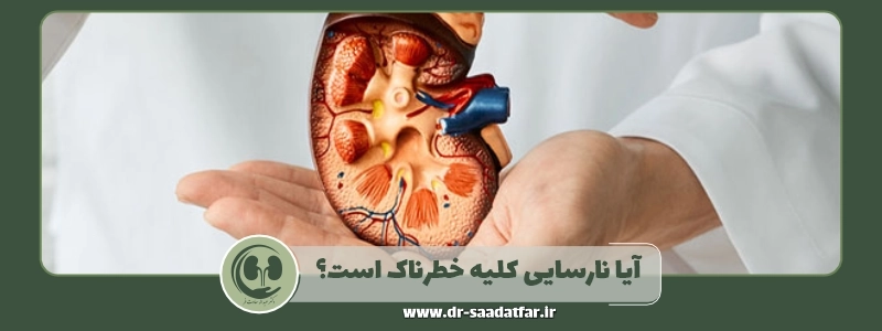 آیا نارسایی کلیه خطرناک است؟