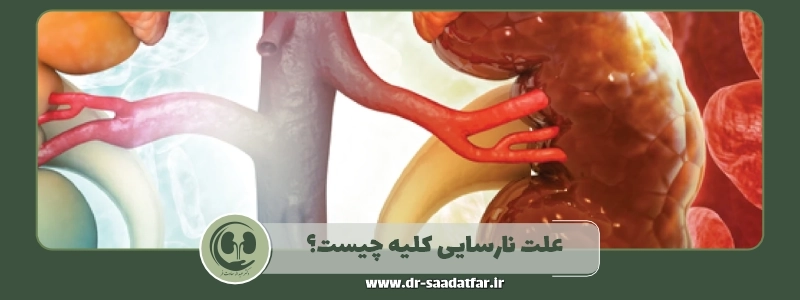 علت نارسایی کلیه چیست؟