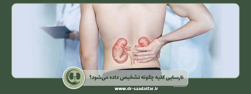 نارسایی کلیه چگونه تشخیص داده می_شود؟