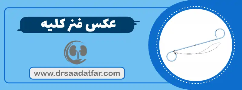 عکس فنر کلیه