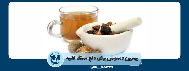 بهترین دمنوش برای دفع سنگ کلیه