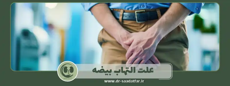علت التهاب بیضه