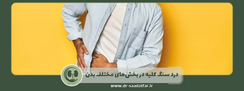 درد سنگ کلیه در بخش های مختلف بدن