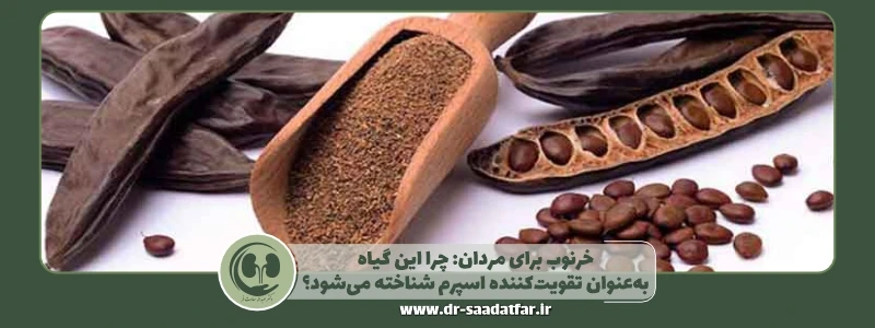 خرنوب برای مردان: چرا این گیاه بهعنوان تقویتکننده اسپرم شناخته میشود؟