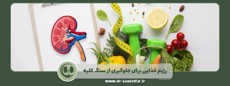 رژیم غذایی برای جلوگیری از سنگ کلیه