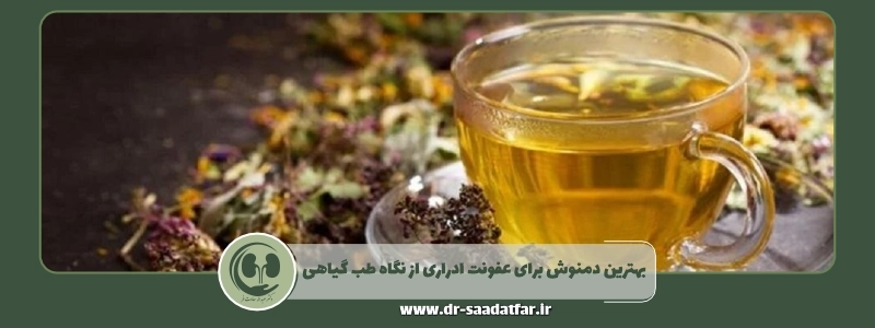 بهترین دمنوش برای عفونت ادراری از نگاه طب گیاهی