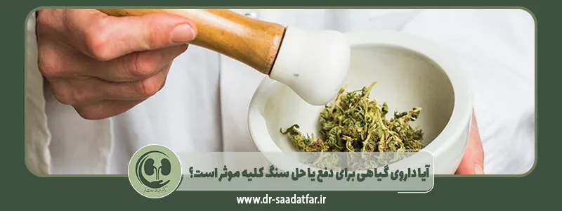 آیا داروی گیاهی برای دفع یا حل سنگ کلیه موثر است؟